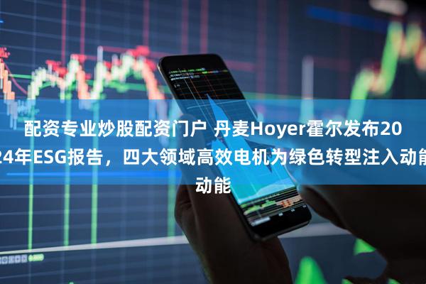 配资专业炒股配资门户 丹麦Hoyer霍尔发布2024年ESG报告，四大领域高效电机为绿色转型注入动能