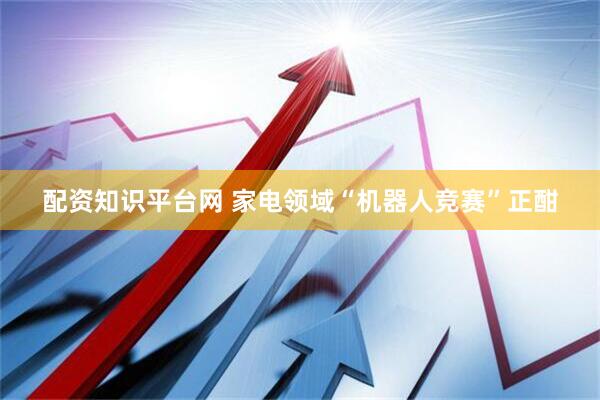 配资知识平台网 家电领域“机器人竞赛”正酣